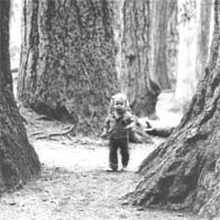 Courtney at Cathedral Grove
